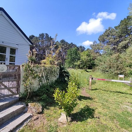 Chalet Cosy, Plages A Pieds. Morbihan. Plouhinec  Exteriör bild