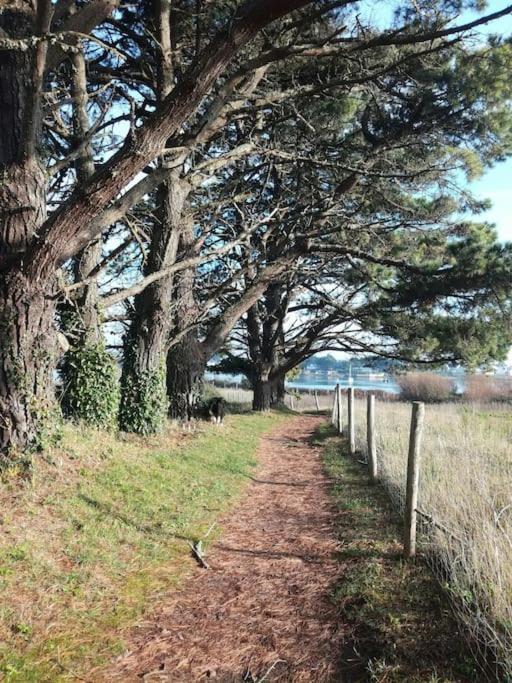 Chalet Cosy, Plages A Pieds. Morbihan. Plouhinec  Exteriör bild