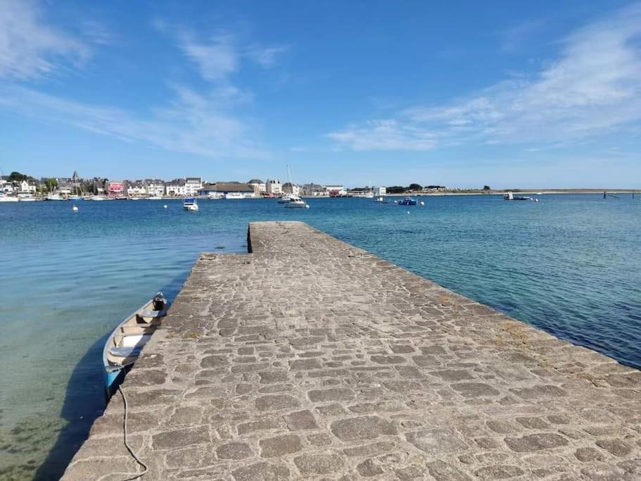 Chalet Cosy, Plages A Pieds. Morbihan. Plouhinec  Exteriör bild